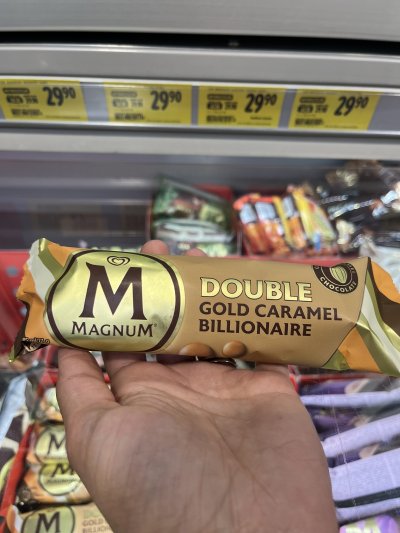 Nanuk Magnum