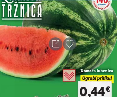 Akční cena melounu v Chorvatsku