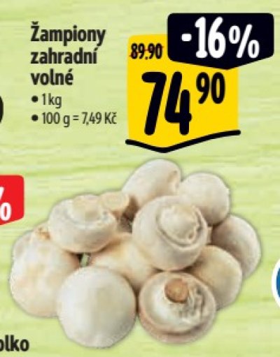 Žampiony v akci