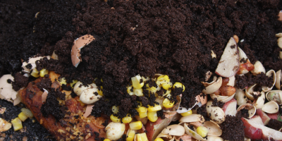 Kávová sedlina v kompostu