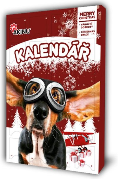Adventní kalendář pro psy, na obrázku je pes v brýlích