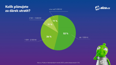 Koláčový graf valentýnského průzkumu