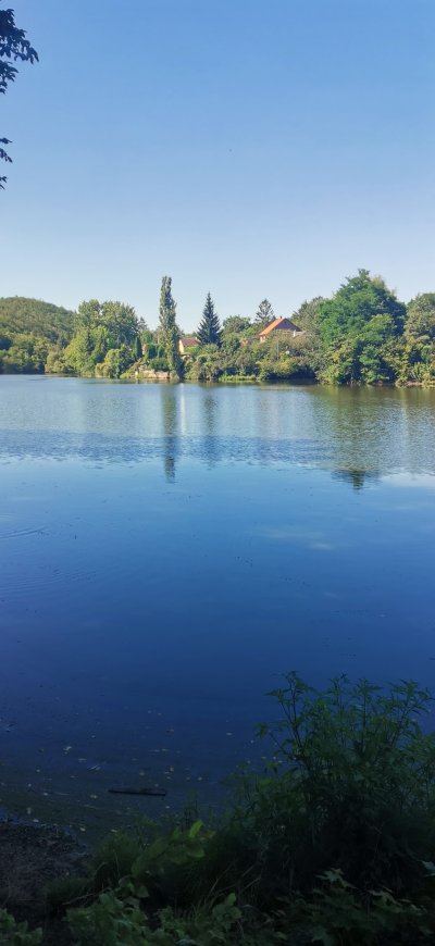 Zámecký park