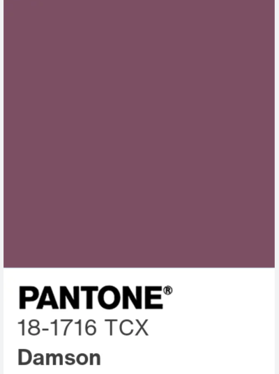 Paleta Pantone, odstín Damson