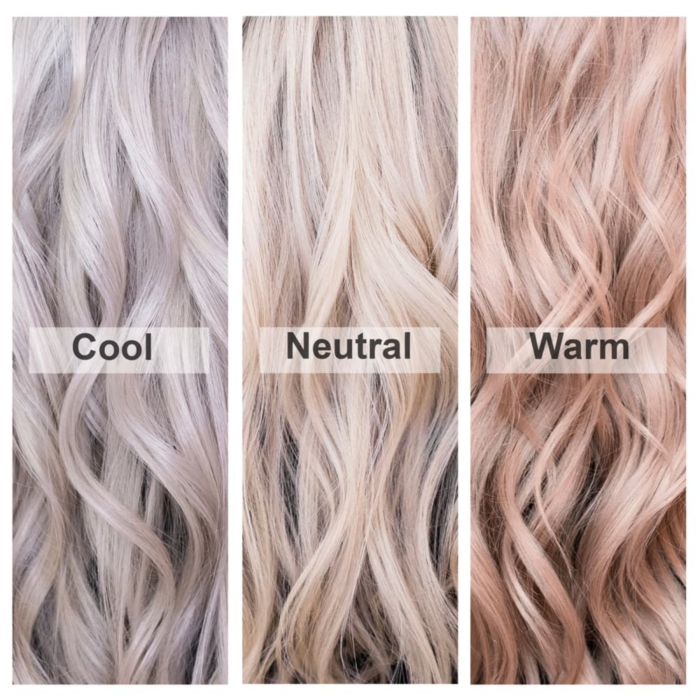 Tři odstíny blond vlasů – Cool, Neutral, Warm