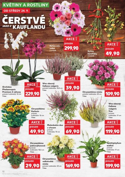 Aktuální leták Kaufland