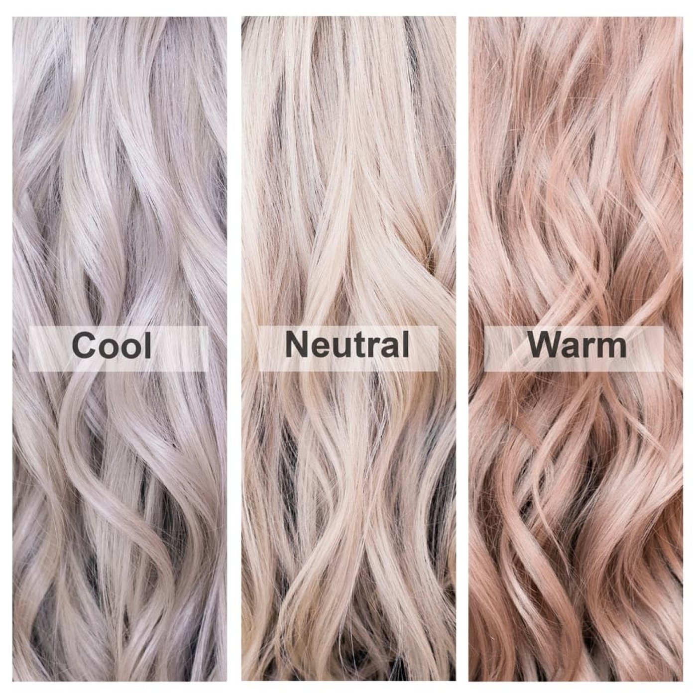 Tři odstíny blond vlasů – Cool, Neutral, Warm