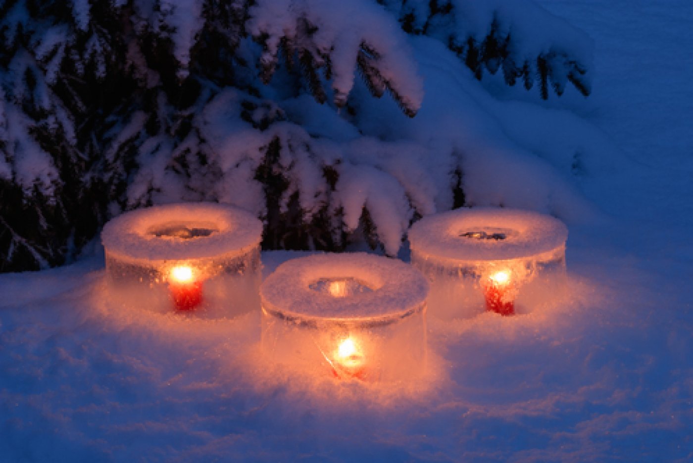 Svíčky hořící uvnitř ledových luceren pod zahradním smrkem