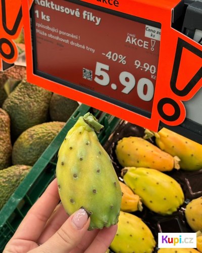 Kaktusový fík