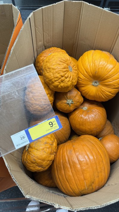Dýně Halloween
