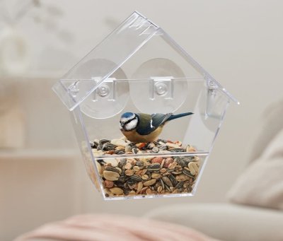 Průhledné krmítko pro ptáky
