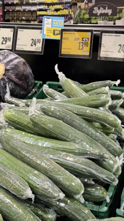 Okurka salátová 1 ks za 9,90 Kč s aplikací Můj Albert