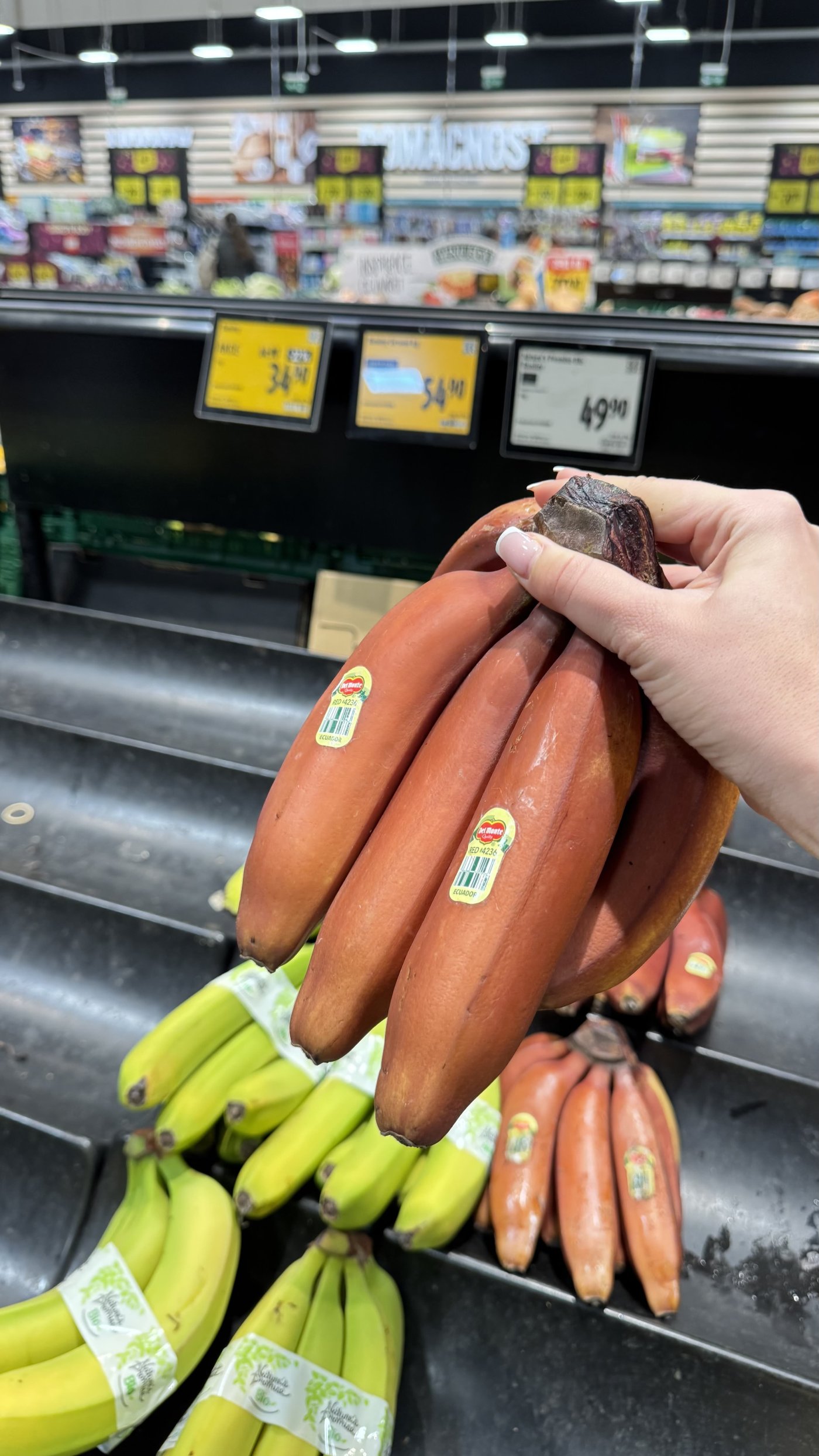 V zimě se pravidelně objevují v obchodech červené banány. Jedno kilo koupíte za 54,90 Kč.