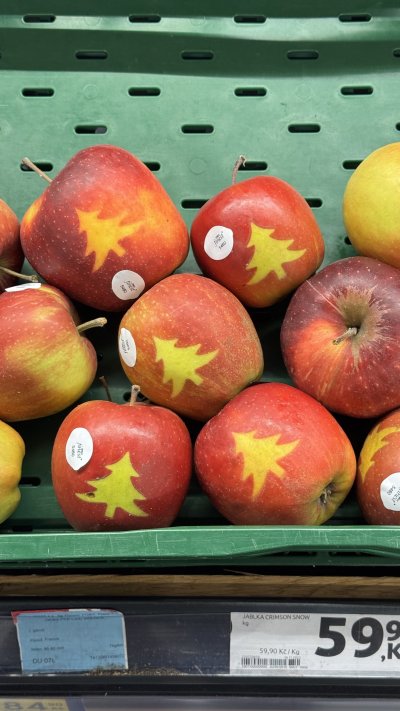 Jablka Crimson Snow s obrázkem stromečku 1 kg za 59,90 Kč.