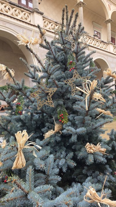 Vánoční ozdobený stromek