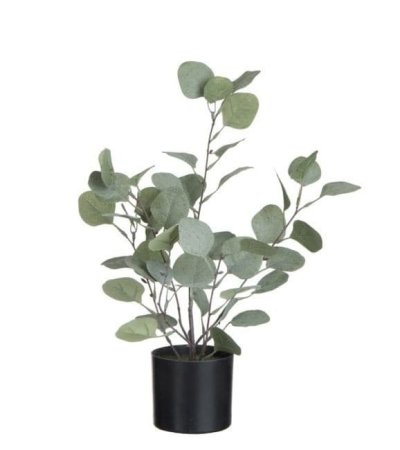 Dekorace Eucalyptus v květináči – Ø 12 * 43 cm