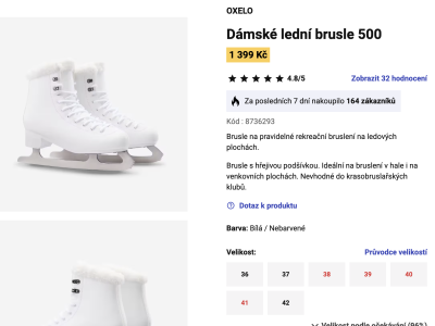 Náhled webu s prodejem bruslí