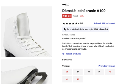 Náhled webu s prodejem bruslí