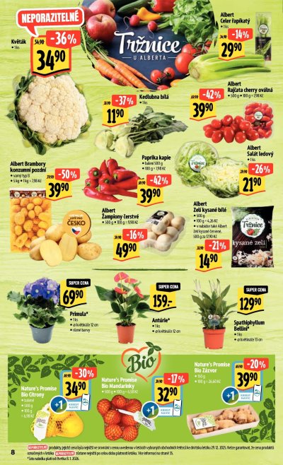 Aktuální leták Albert