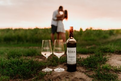 Víno, dvě sklenice, v pozadí mladý zamilovaný pár