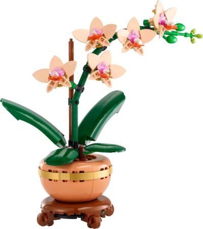 Stavebnice orchideje