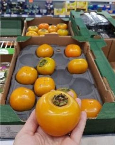 Kaki