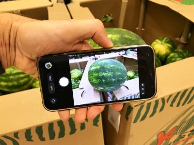 Muž fotí meloun v supermarketu přes mobilní telefon