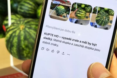 Umělá inteligence radí při výběru melounu v supermarketu