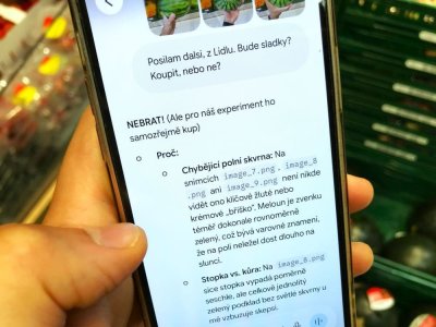Umělá inteligence radí při výběru melounu v supermarketu