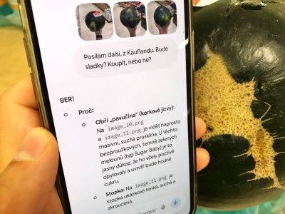 Umělá inteligence radí při výběru melounu v supermarketu