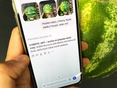 Umělá inteligence radí při výběru melounu v supermarketu