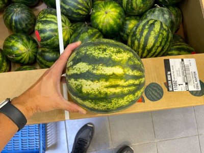 Melouny v supermarketu