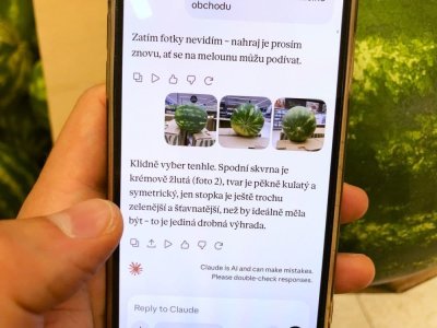 Umělá inteligence radí při výběru melounu v supermarketu