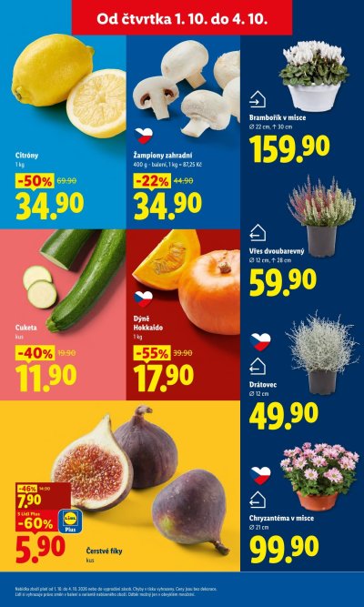 Nový leták Lidl