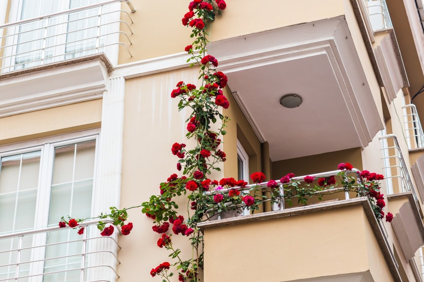 Balkon s pnoucí se rudou růží