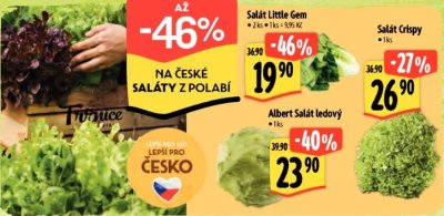 Hromadná akce na saláty