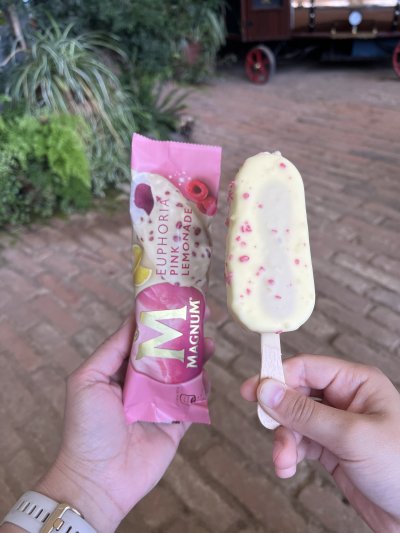 Magnum Euphoria Pink