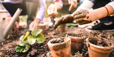 Skupina lidí přesazuje rostliny na zahradě