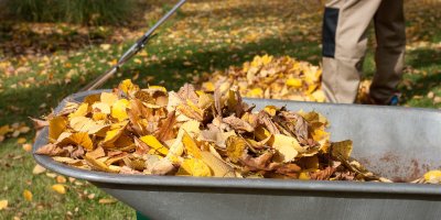 Muž nakládá spadené listí do kolečka