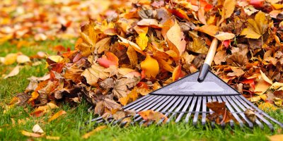 Zahradní hrábě ležící na hromadě podzimního listí
