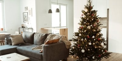 Vánoční stromek v bytě vedle pohovky