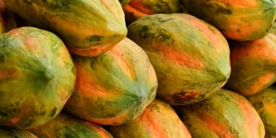 Vyskládané plody papáji