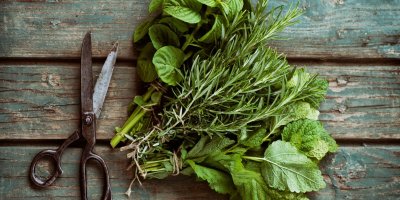 Různé druhy bylinek a nůžky na dřevěném pozadí