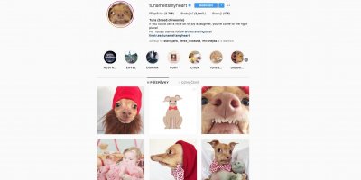 Instagramový profil psa Tuny