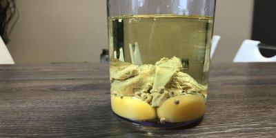 Příprava domácí majonézy