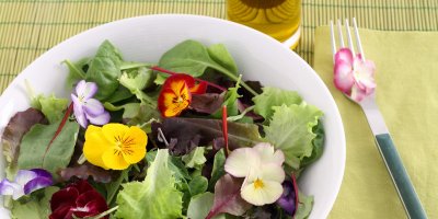 Do pokrmů můžete využít téměř všechny květy, které nejsou jedovaté či hořké