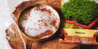 Semínka zalijte vodou