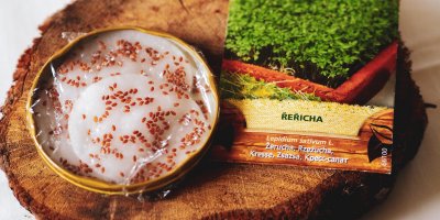 Vytvořte improvizovaný skleník