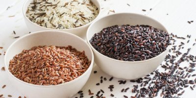 Na světě existuje velké množství druhů rýže