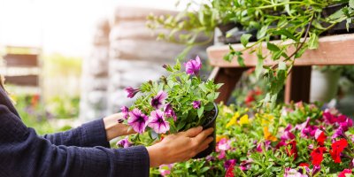 Do hobby marketů si zajít nakoupit můžeme 